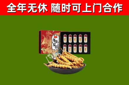 房山区回收冬虫夏草价格